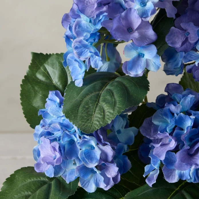 Blommande krukväxter konst