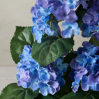 Blommande krukväxter konst