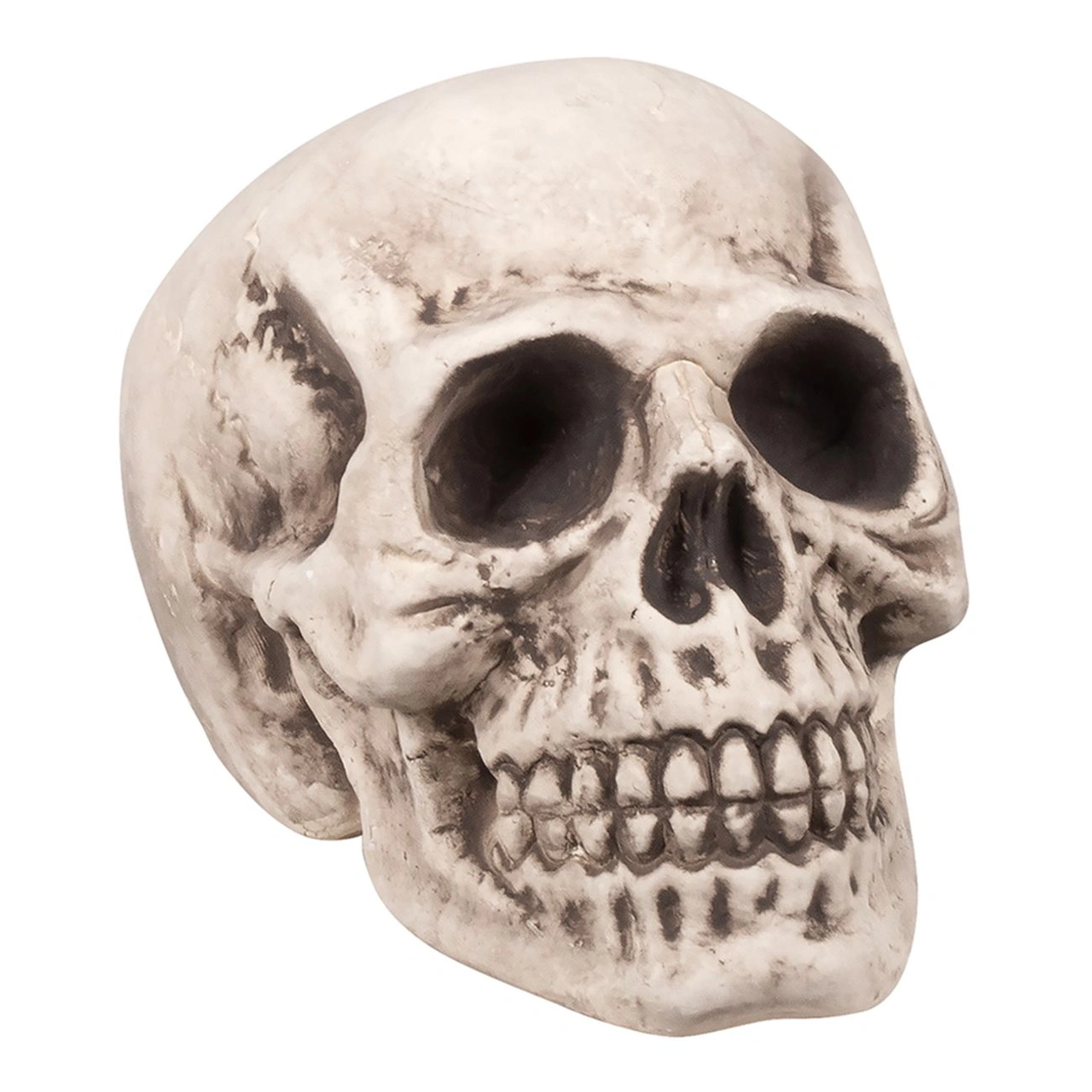 Döskalle 31cm