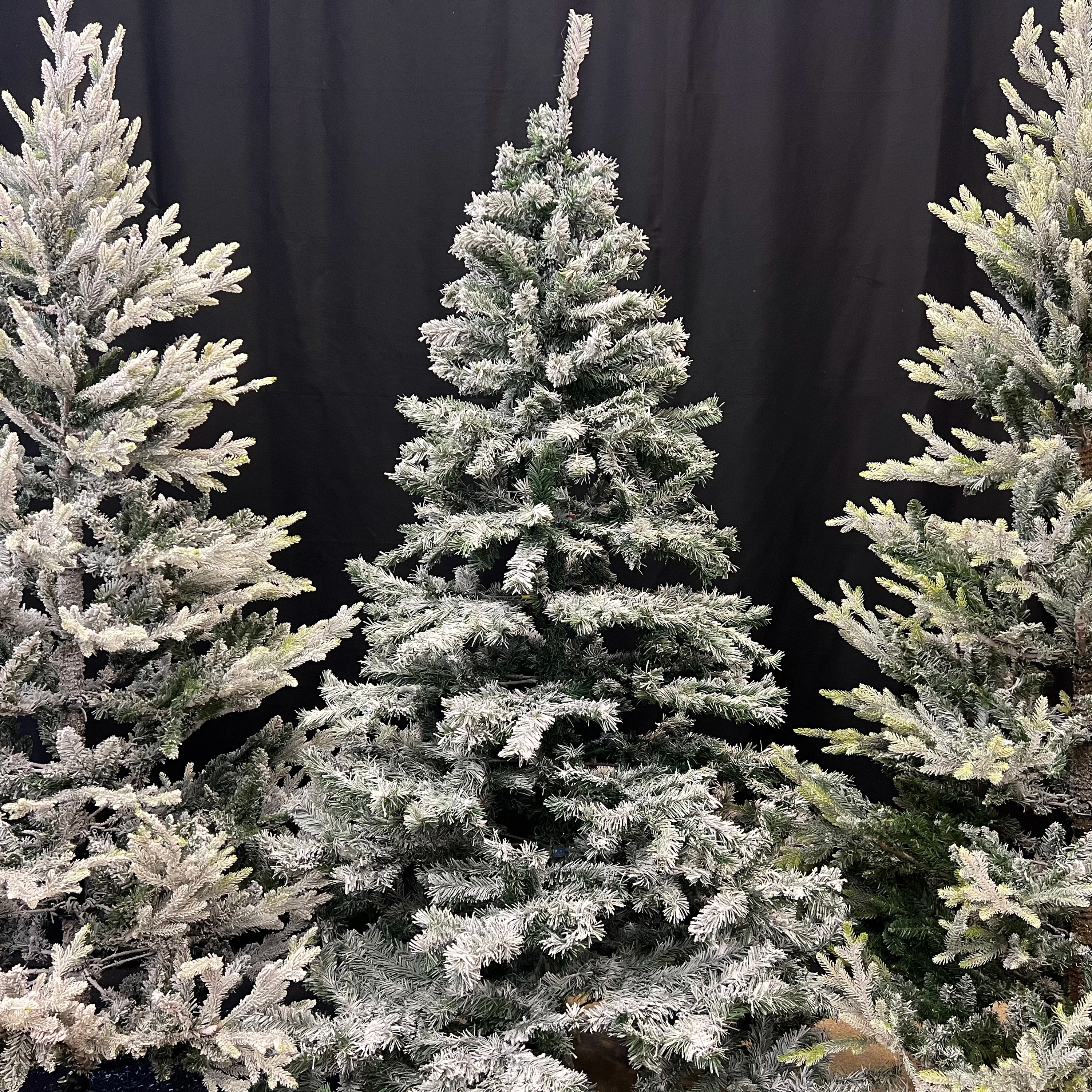 Gran snö Kiruna 210cm