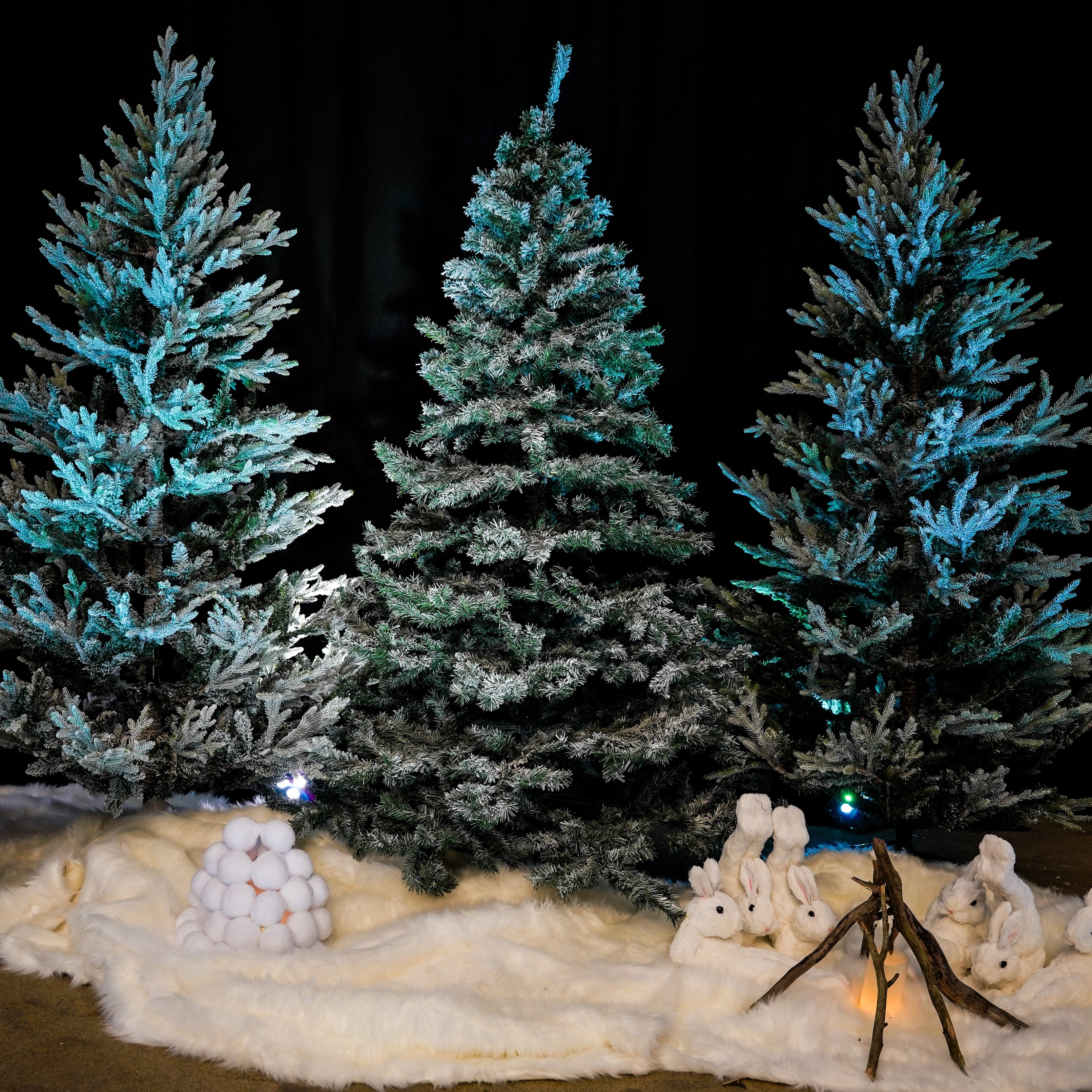 Gran snö Kiruna 210cm