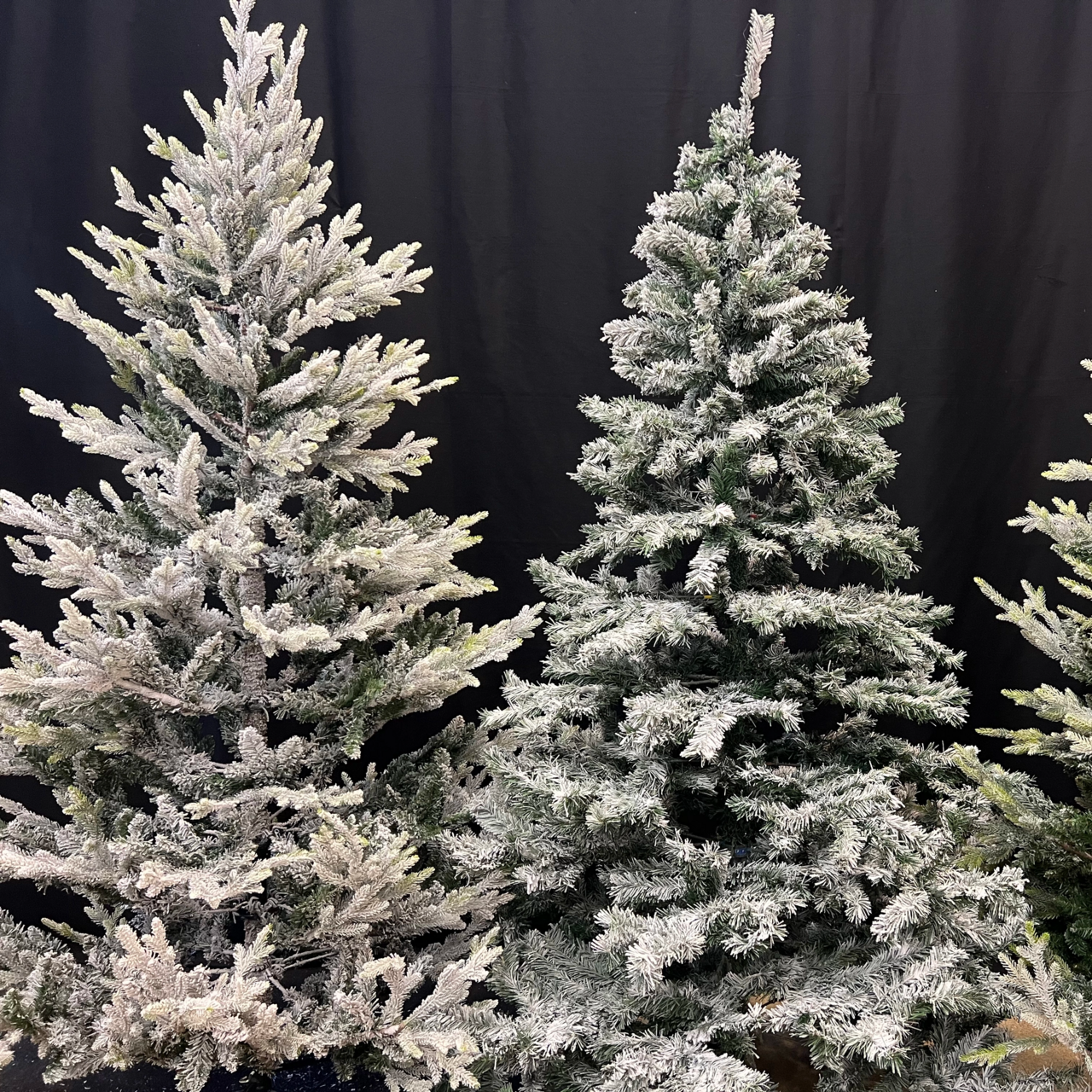 Gran snö Kalix 210cm