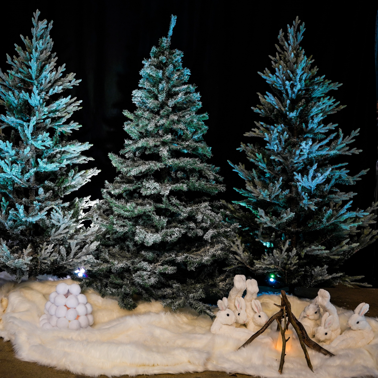 Gran snö Kalix 210cm