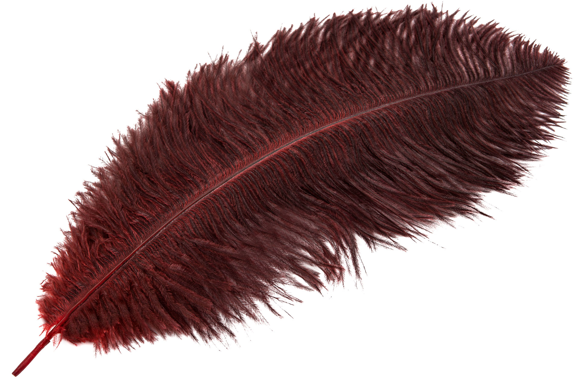Fjäder burgundy
