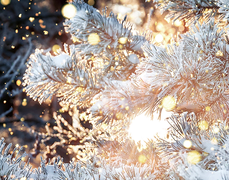 Välkommen till en glimrande säsong!