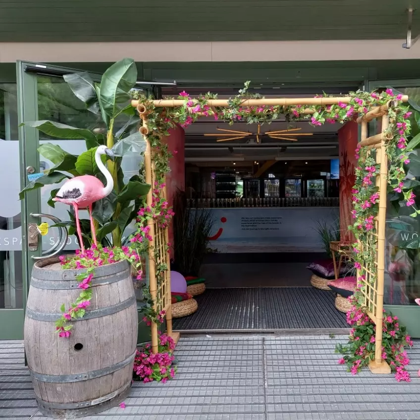 Bougainvillea girlang