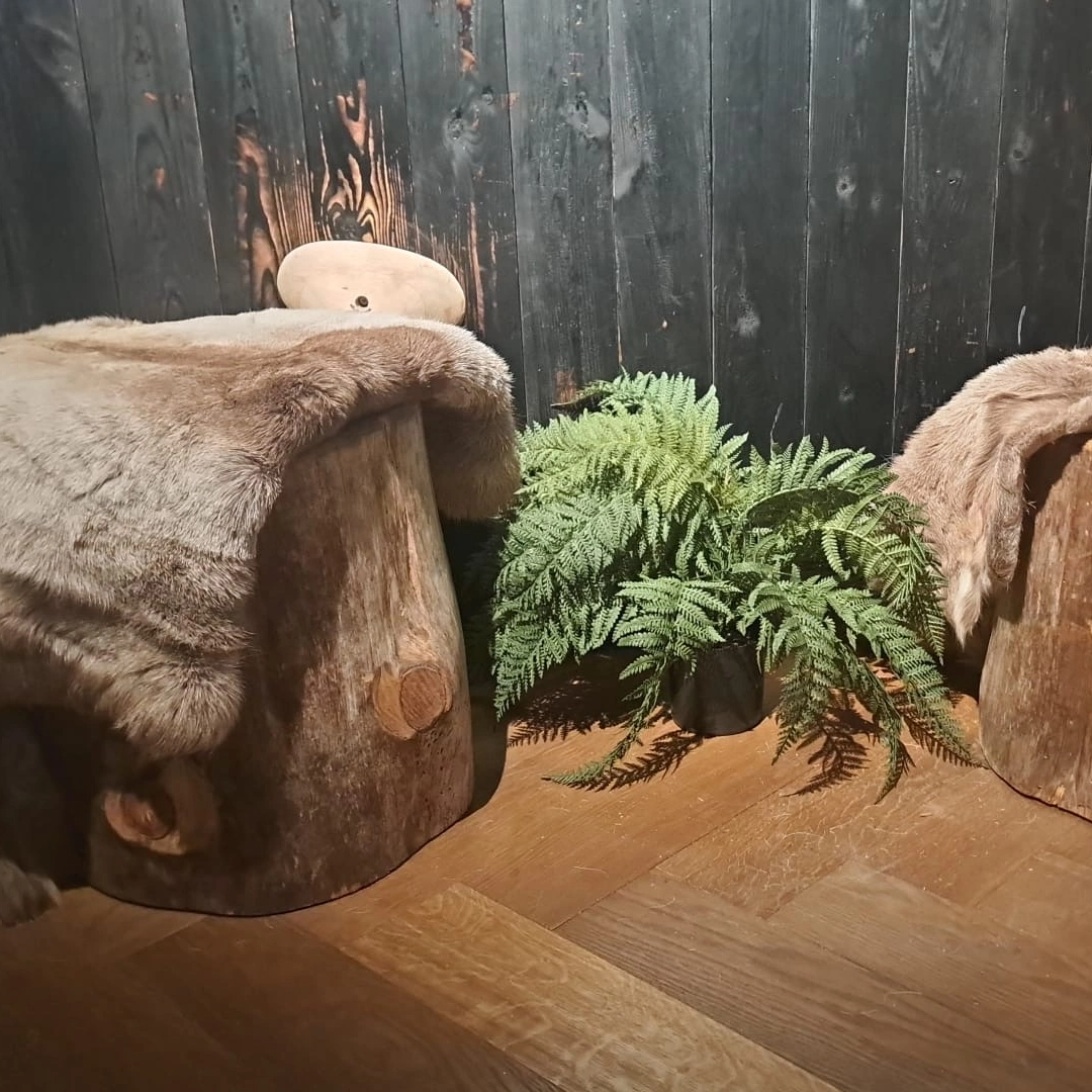 Trästubbe äkta