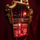 Burgundy sammet