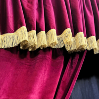 Sammet med guldfransar