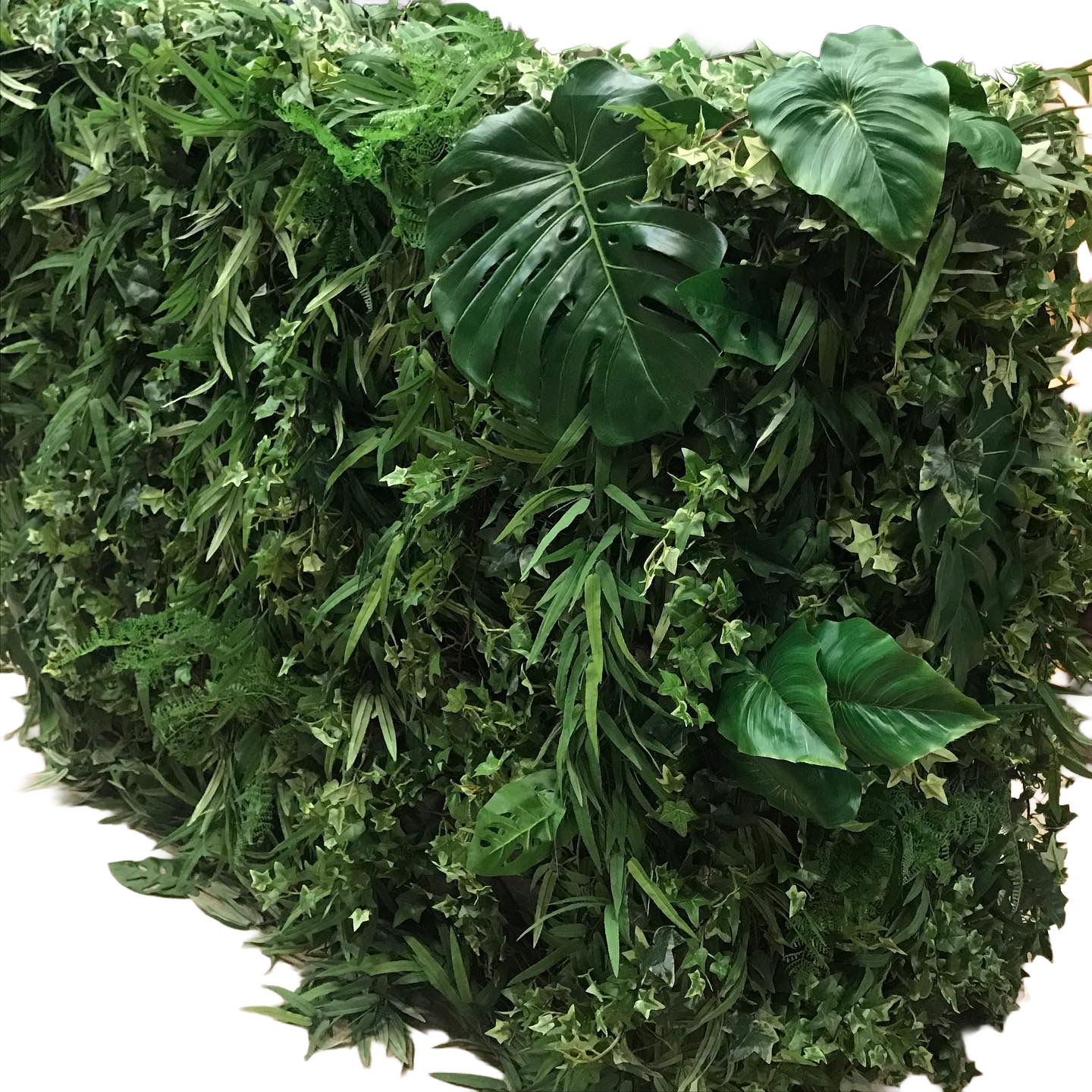 Bardisk grön växtfront