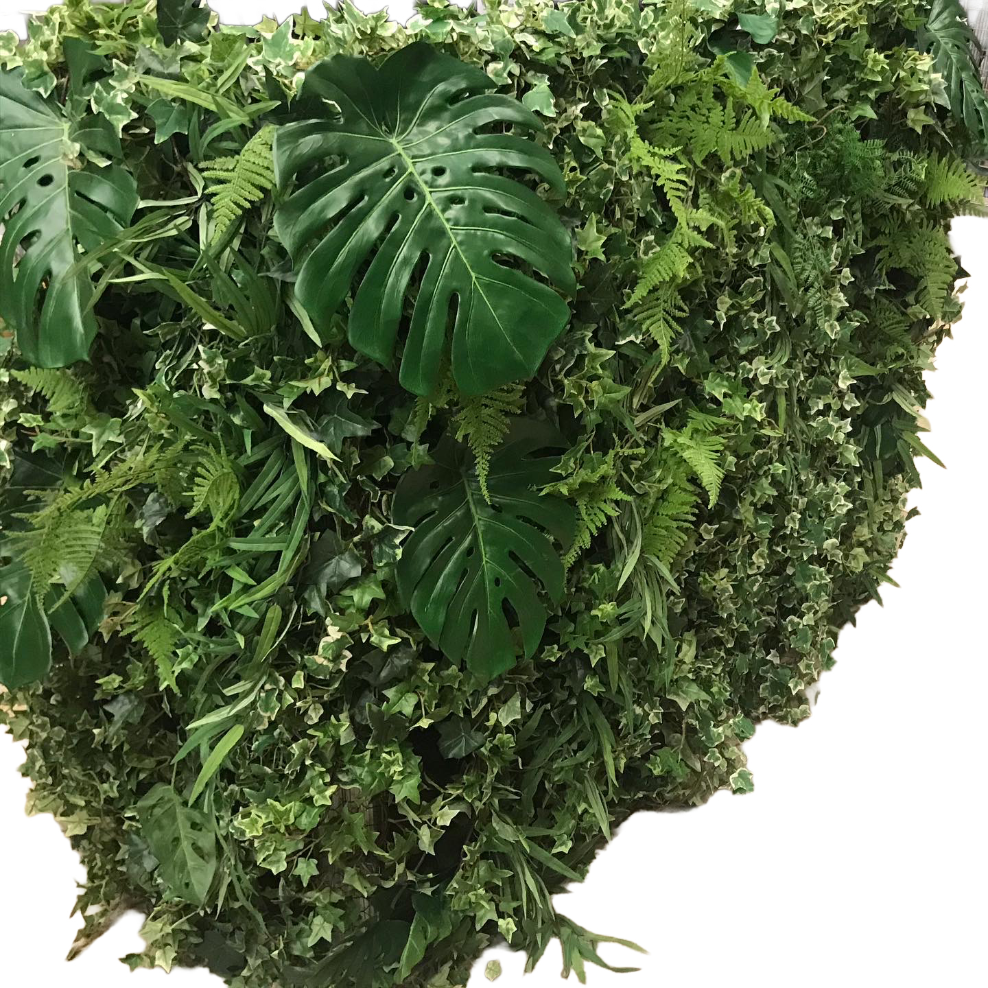 Bardisk grön växtfront