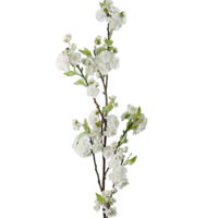Körsbärskvist vit 120cm