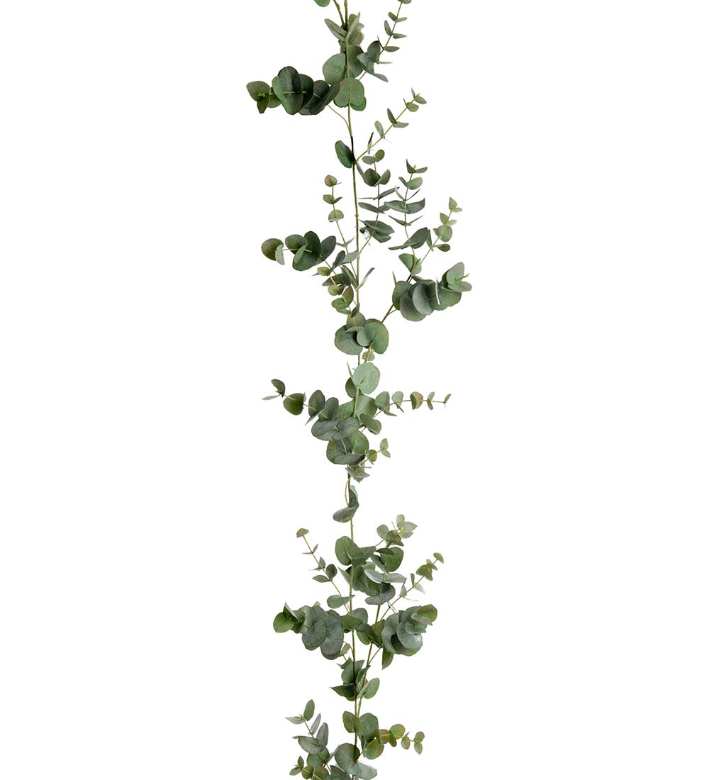 Eucalyptusgirlang 190cm