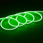 LEDslang neon