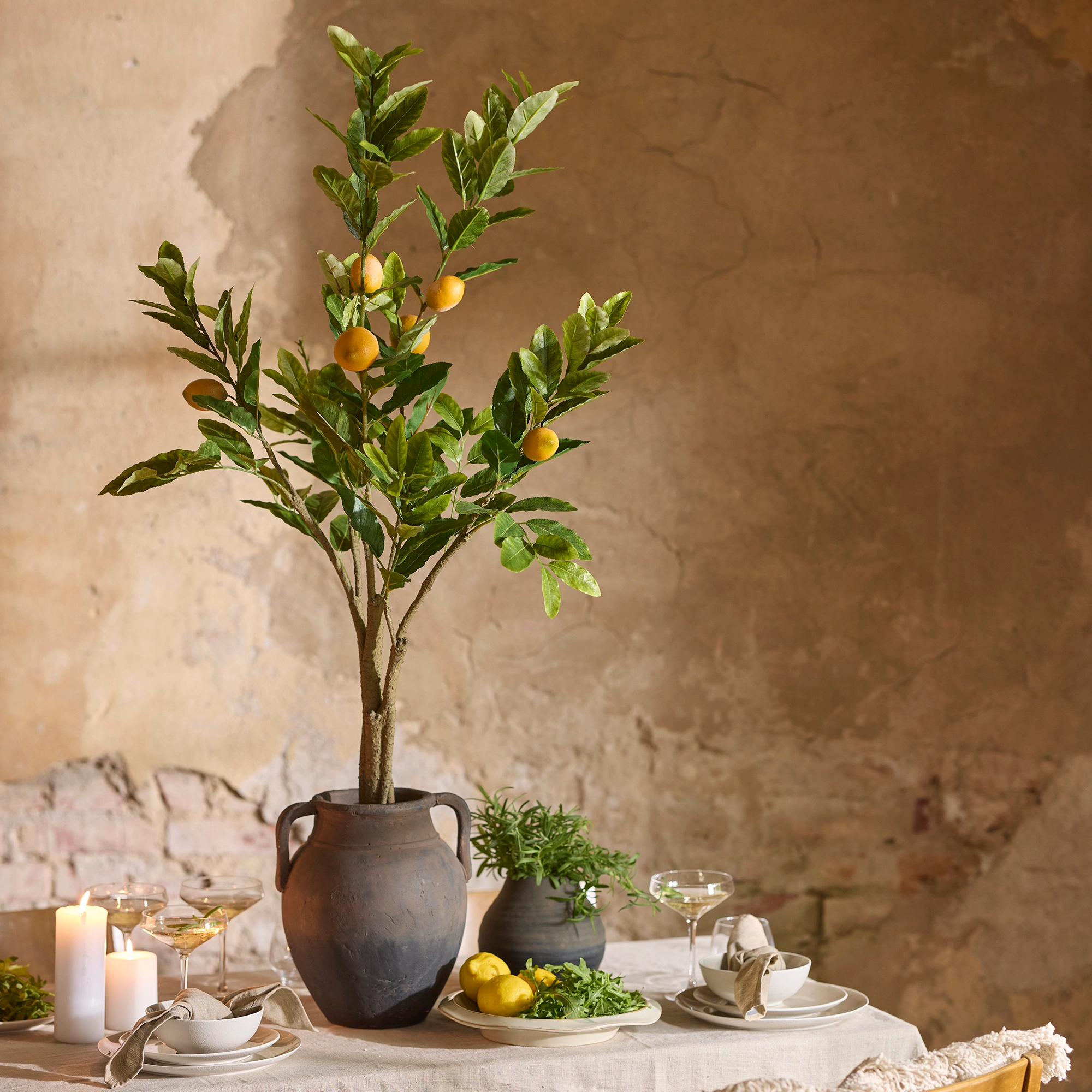 Citronkvist 90cm