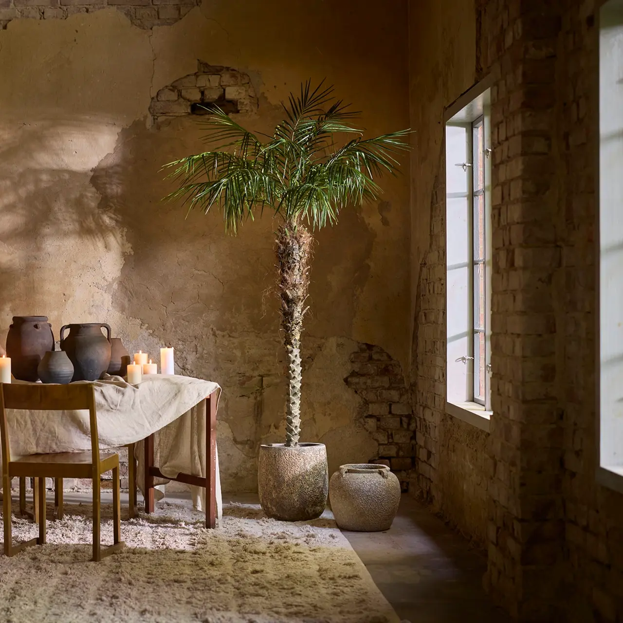 Palm Phoenix konst