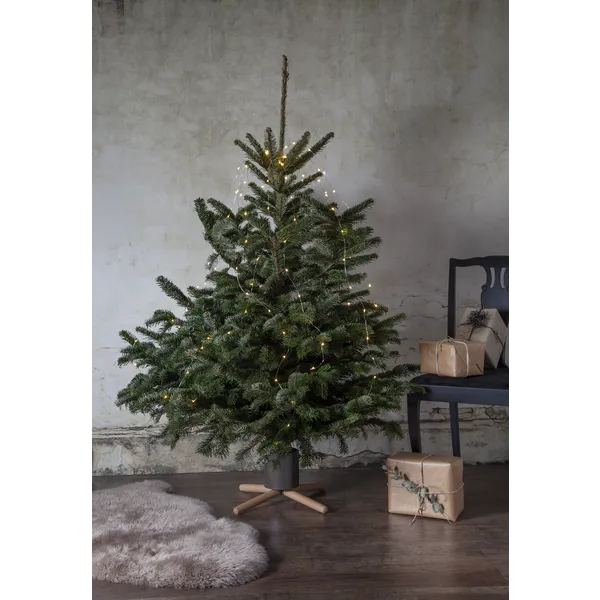Julgransfot trä