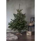 Julgransfot trä