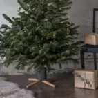 Julgransfot trä