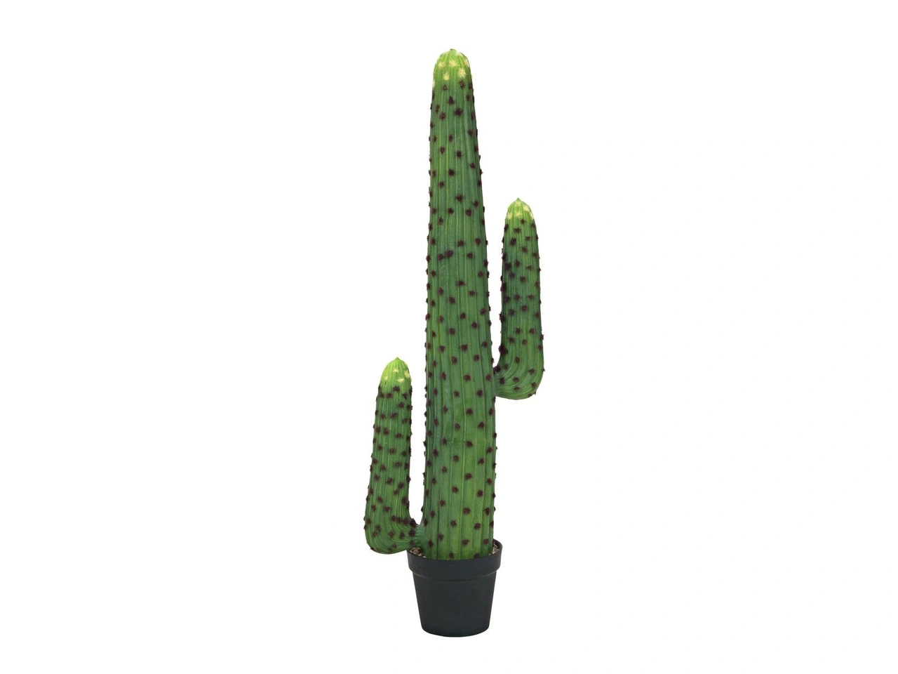 Kaktus 117cm