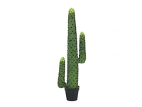 Kaktus 117cm