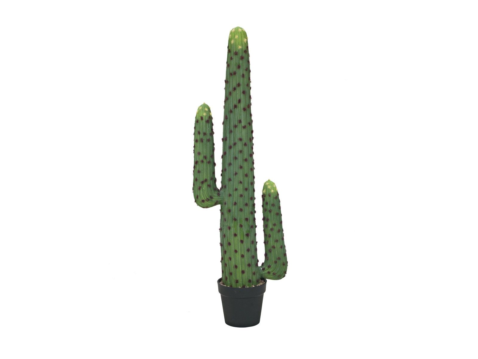 Kaktus 117cm