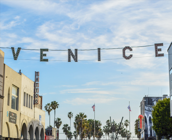 Backdrop Venice Beach