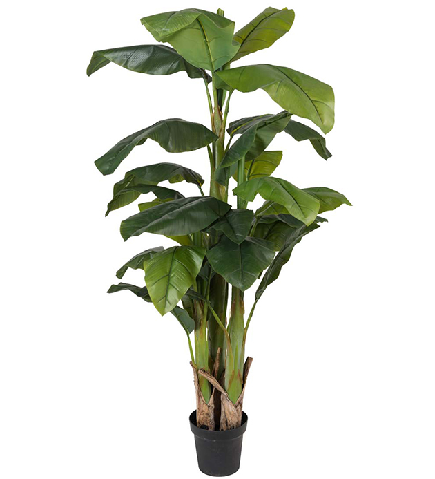 Bananpalm konst
