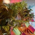 Palm Areca konst 200-220cm