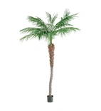 Palm Phoenix konst