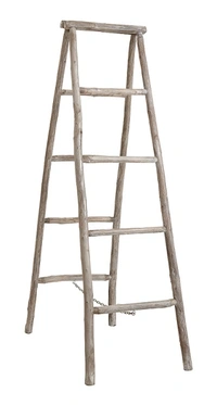 Stege trä