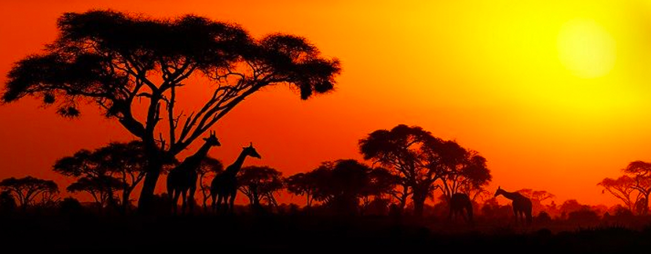 Afrika Lodge