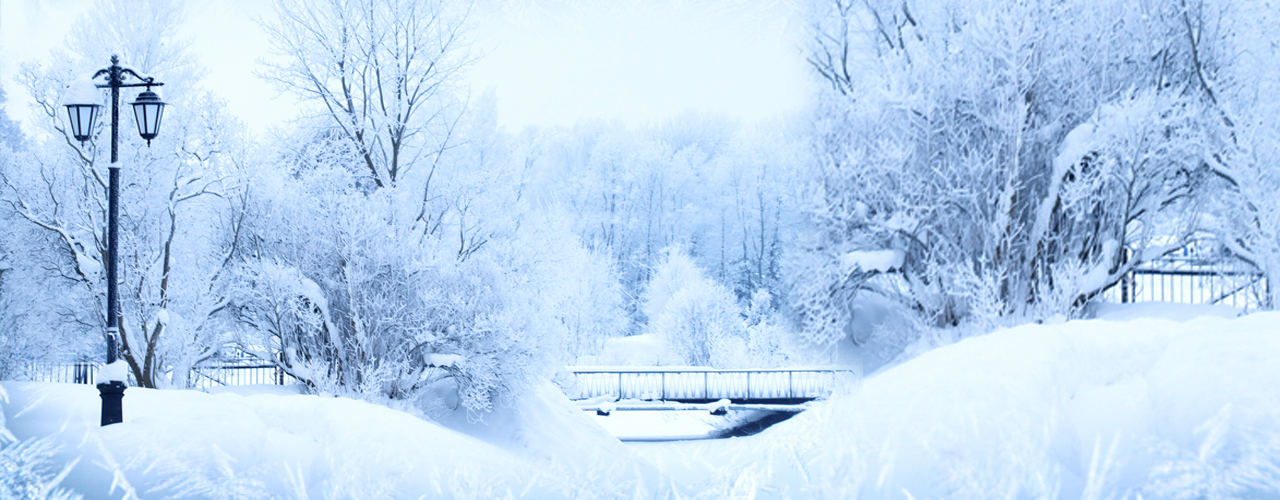 Winter Wonderland