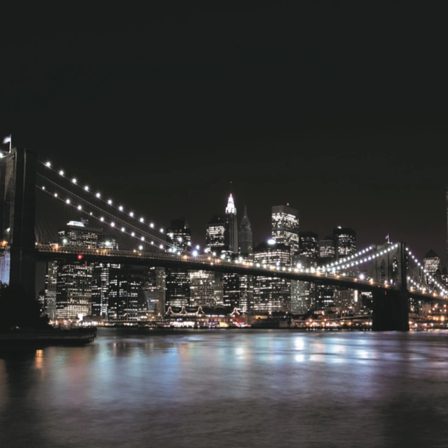 Backdrop New York Brooklyn bridge