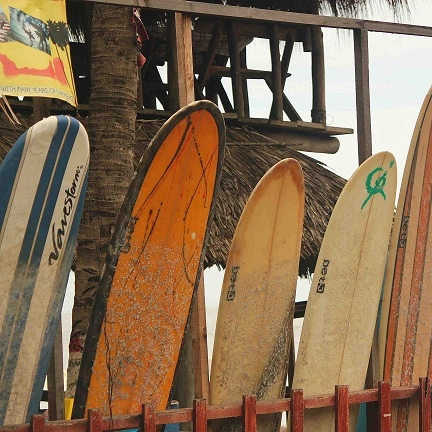 Backdrop Surfboards