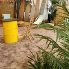 Backdrop Surfboards