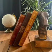 Bokstöd Hund