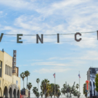 Backdrop Venice Beach