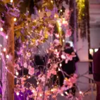 LEDslinga dew drops 720 LED