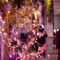 LEDslinga dew drops 720 LED