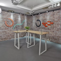 Panelbord ljus björk