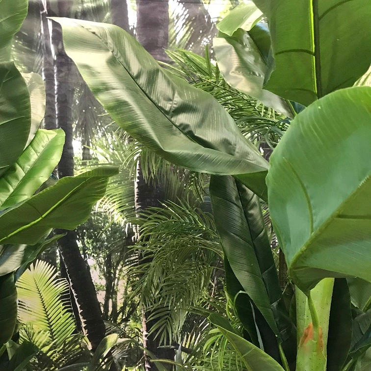 Bananpalm konst