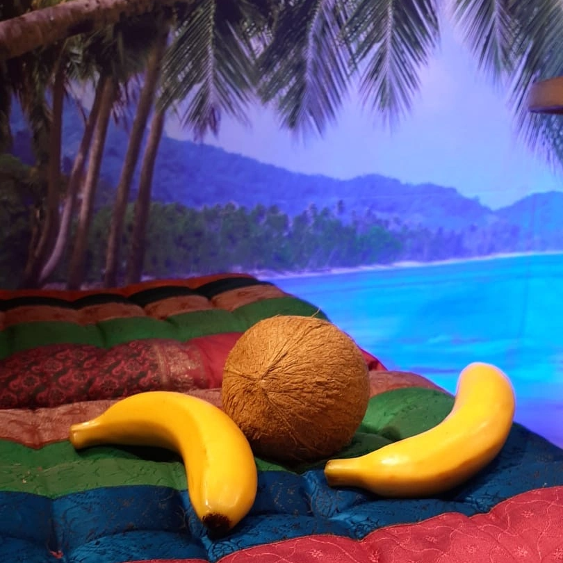 Backdrop Paradise Beach