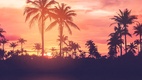 Backdrop Sunset Beach