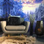 Backdrop Vinterlandskap höger