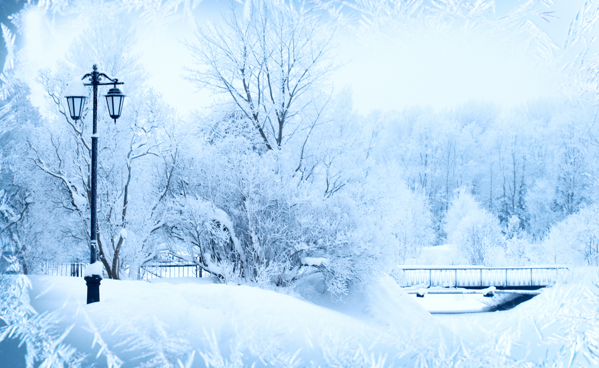 Backdrop Winter Wonderland