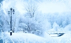 Backdrop Winter Wonderland