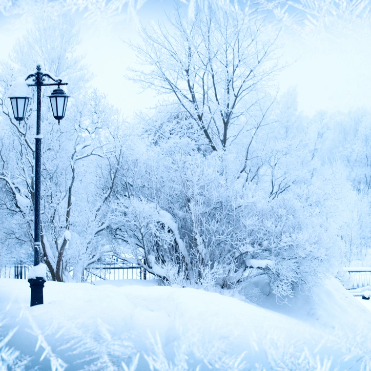 Backdrop Winter Wonderland