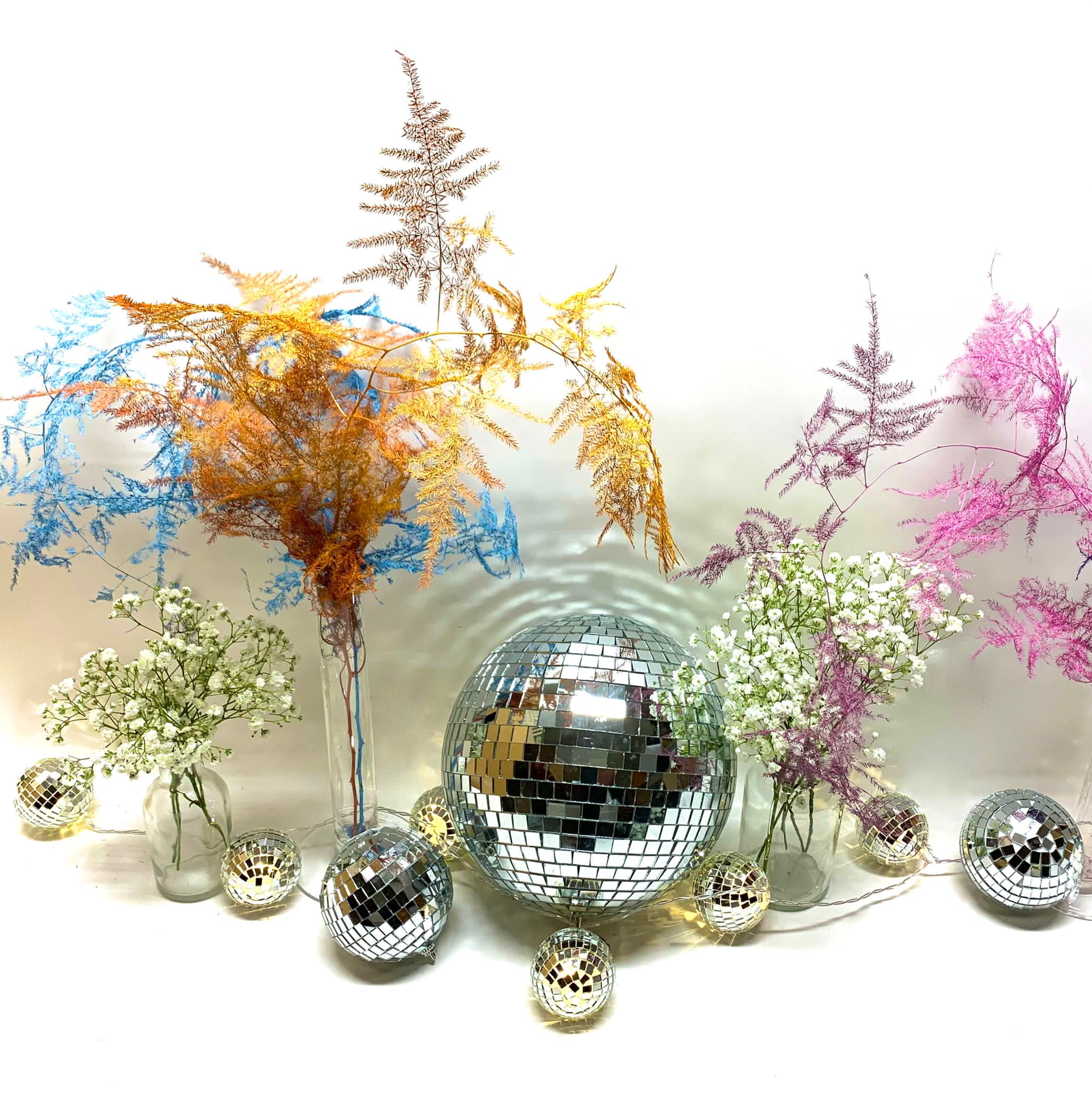 Discokula 15cm