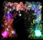 Discokula 30cm